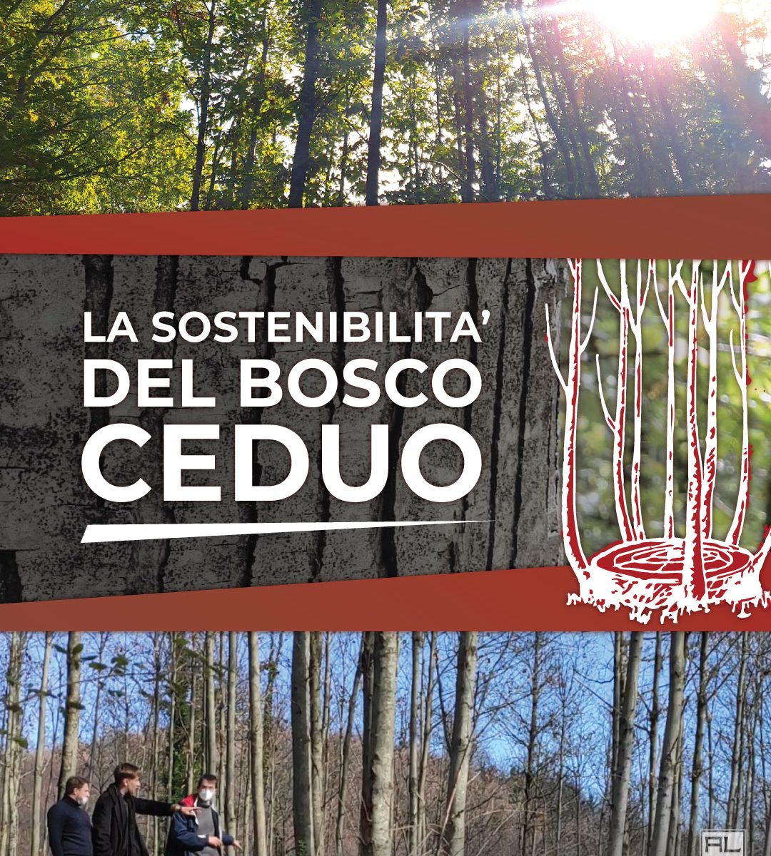 LA SOSTENIBILITÁ DEL BOSCO CEDUO - ARTENA LEGNAMI SRL