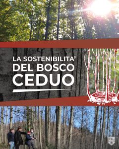 LA SOSTENIBILITÁ DEL BOSCO CEDUO - ARTENA LEGNAMI SRL