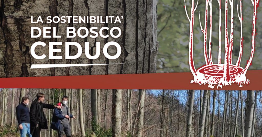 LA SOSTENIBILITÁ DEL BOSCO CEDUO - ARTENA LEGNAMI SRL